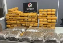 VIDEO Casal é preso com 65 kg de maconha na BR-280, em Corupá