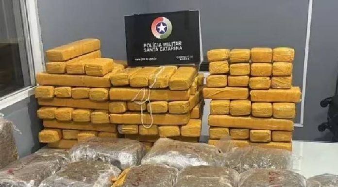 VIDEO Casal é preso com 65 kg de maconha na BR-280, em Corupá