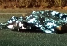 VIDEO Pedestre morre atropleado na Marginal Oeste da BR-101 em Barra Velha