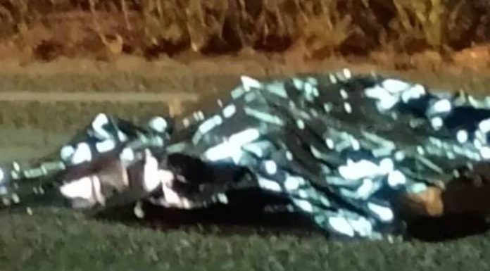 VIDEO Pedestre morre atropleado na Marginal Oeste da BR-101 em Barra Velha