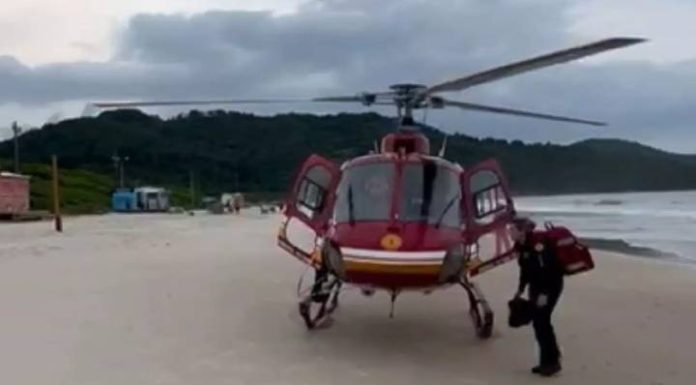 Homem é picado por jararaca em praia de SC e levado de helicóptero ao hospital