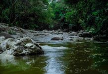 Saneamento, chave para proteger a água que não vemos