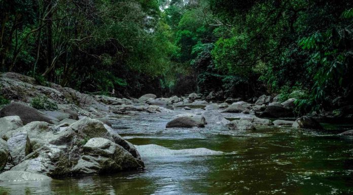 Saneamento, chave para proteger a água que não vemos