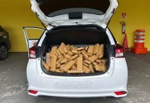 Traficante paraguaio, carro argentino e prisão brasileira: PRF apreende 200 kg de maconha em SC