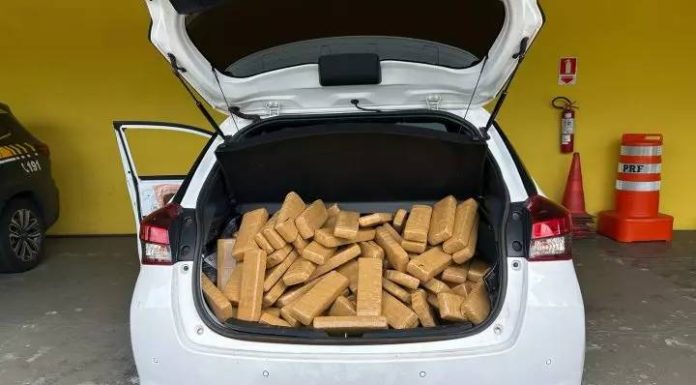 Traficante paraguaio, carro argentino e prisão brasileira: PRF apreende 200 kg de maconha em SC