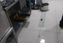 VIDEO Larva em sushi motiva interdição de restaurante em Itajaí
