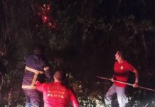 Incêndio atinge vegetação no Morro da Ponta da Vigia na Praia Grande em Penha