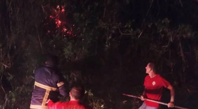 Incêndio atinge vegetação no Morro da Ponta da Vigia na Praia Grande em Penha