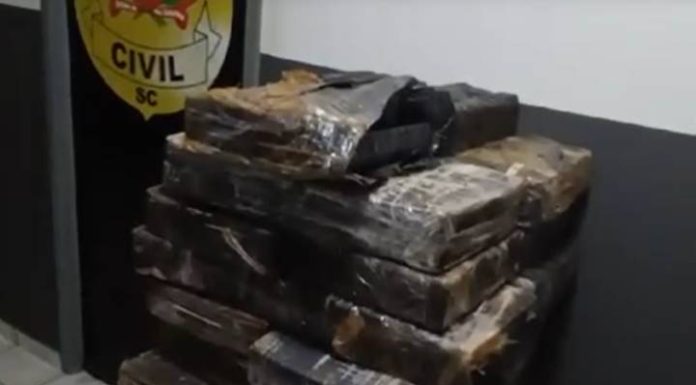 VÍDEO 285 quilos da “maconha no pano preto” são apreendidos em Barra Velha