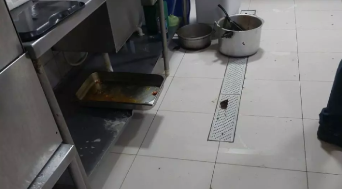 VIDEO Larva em sushi motiva interdição de restaurante em Itajaí