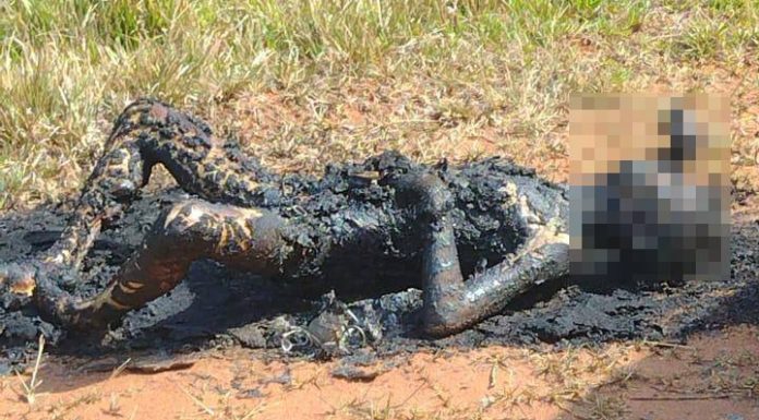 CHOCANTE Corpo carbonizado de mulher é encontrado nesta quarta-feira em Piçarras