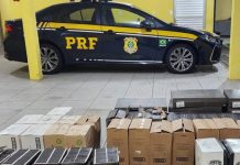 Vinhos argentinos importados ilegalmente são apreendidos em Barra Velha