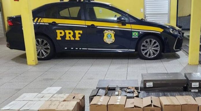 Vinhos argentinos importados ilegalmente são apreendidos em Barra Velha