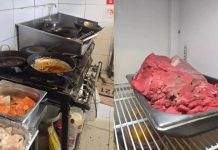 Baratas, sujeira e comida estragada: mais 3 restaurantes são fechados em Itajaí