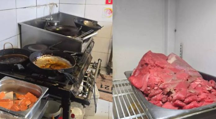 Baratas, sujeira e comida estragada: mais 3 restaurantes são fechados em Itajaí
