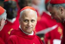 FUMAÇA BRANCA Saiba quem é Robert Prevost, o novo Papa Leão XIV