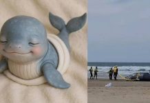 VIDEO “Baleia Reborn” encalha em praia de SC e viraliza nas redes sociais