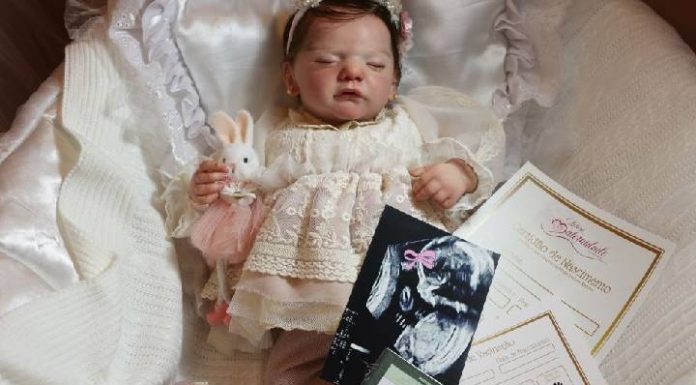 Bebês reborn de Joinville têm ultrassom e certidão de nascimento