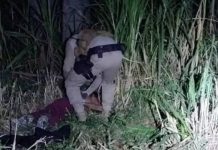 ‘Iria estuprá-la’: ex arrasta mulher para área de mata e polícia a encontra desacordada