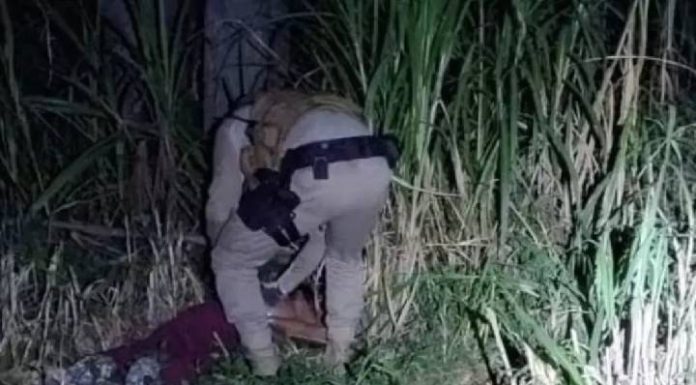 ‘Iria estuprá-la’: ex arrasta mulher para área de mata e polícia a encontra desacordada