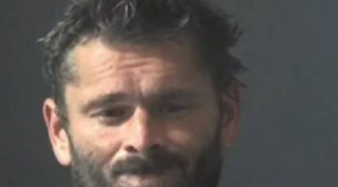 Homem assa cachorro no forno de casa porque ele não parava de latir
