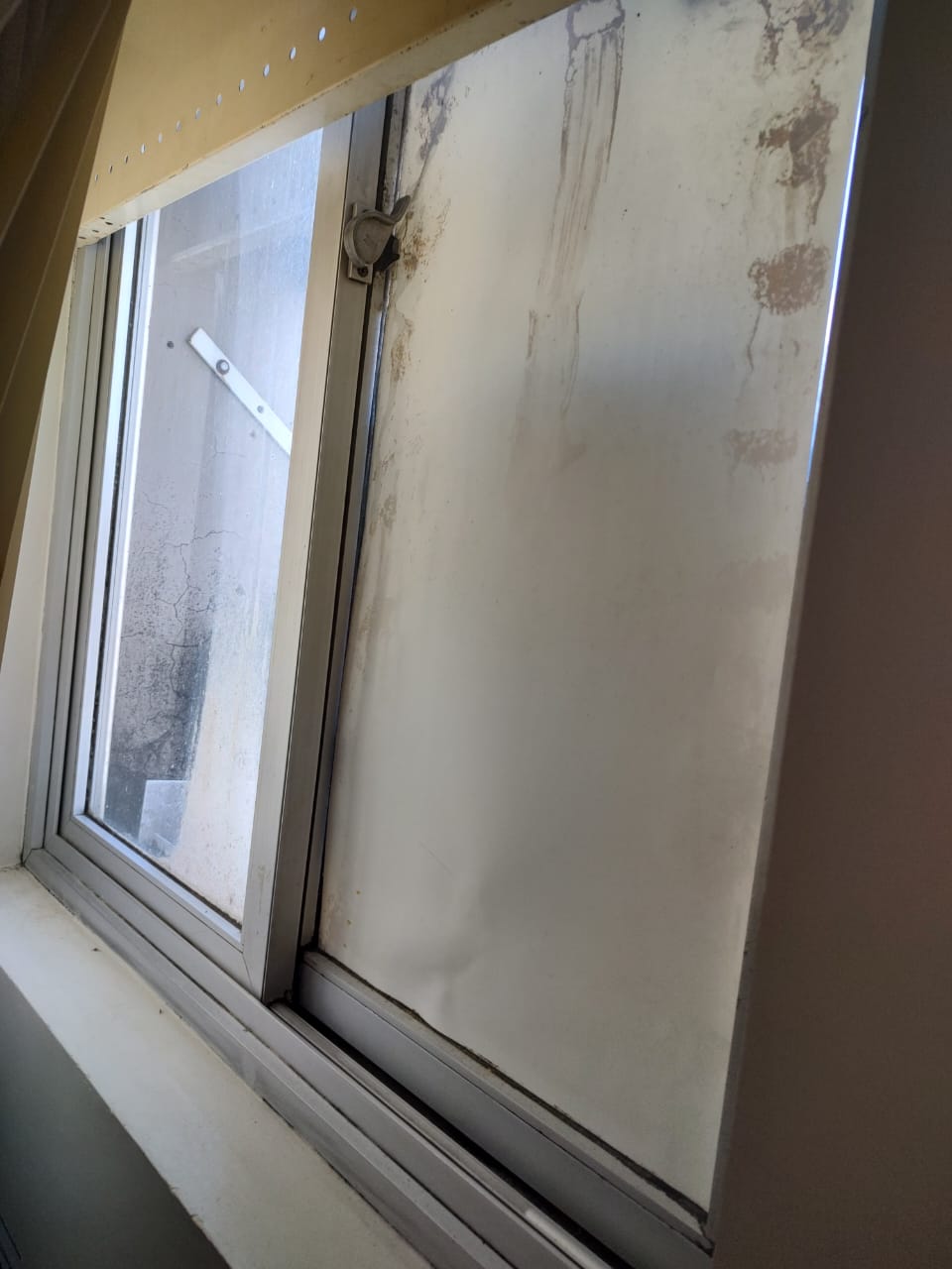 WhatsApp Image 2025 05 25 at 16.07.34