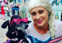 Polícia de Itapema investiga morte misteriosa da personagem Frozen