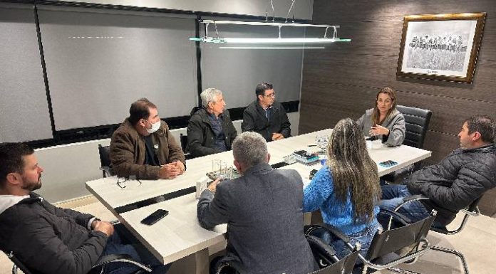 Juliana Pavan assume presidência do PSD em Balneário Camboriú