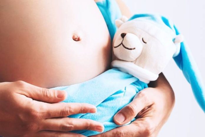 Novo Projeto - 2025-06-28T075536.647