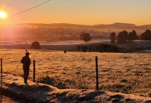 Santa Catarina entra em alerta para nova onda de frio com geada e pode chegar a -4°C