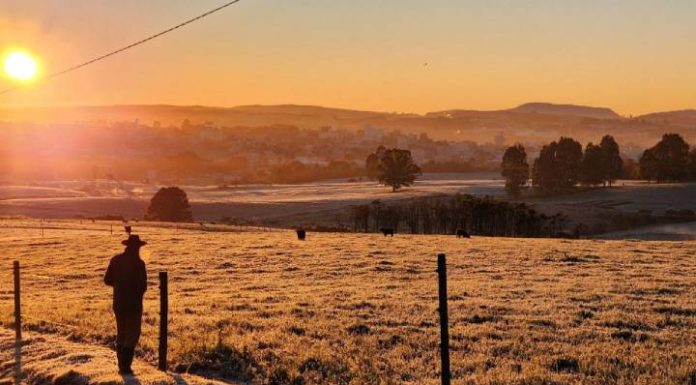 Santa Catarina entra em alerta para nova onda de frio com geada e pode chegar a -4°C