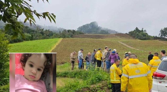 Criança de um ano desaparecida em SC é encontrada morta após 3 horas de buscas