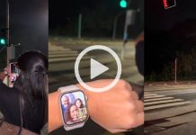 Semáforo fica vermelho ‘do nada’ e multa motoristas em SC; entenda