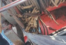 VIDEO Pescador de Penha tem dedos amputados ao prender o braço no guincho de embarcação