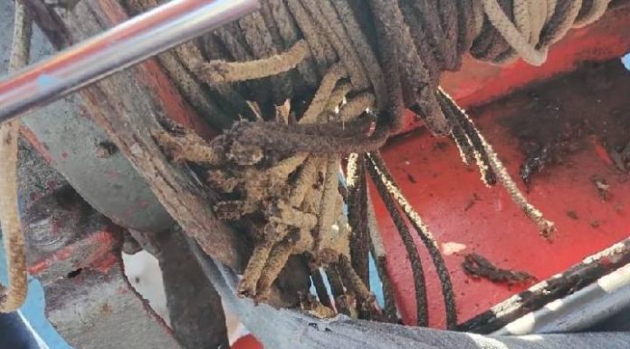 VIDEO Pescador de Penha tem dedos amputados ao prender o braço no guincho de embarcação