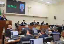 Vereadora Manu denuncia supostos servidores fantasmas na presidência da Câmara de Floripa