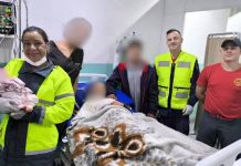 Bombeiros realizam parto dentro de ambulância em Barra Velha