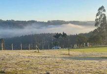 Frio volta a se intensificar em SC; previsão aponta mínimas de -2°C