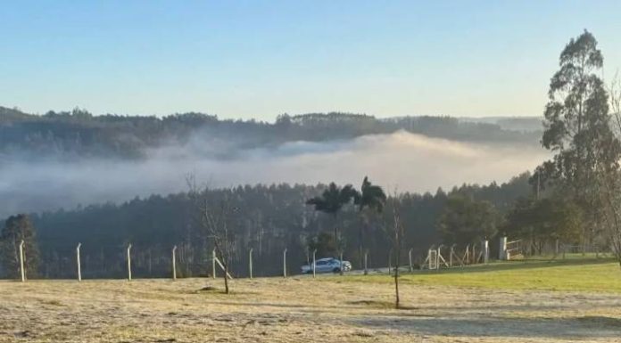 Frio volta a se intensificar em SC; previsão aponta mínimas de -2°C