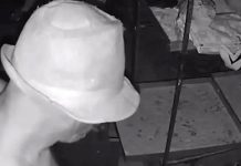 Homem é flagrado abusando de galinhas em Cascavel e acaba preso