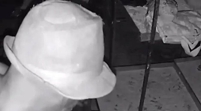 Homem é flagrado abusando de galinhas em Cascavel e acaba preso