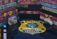 VIDEO Motorista é preso com quase 30 quilos de maconha na BR-101 em Barra Velha