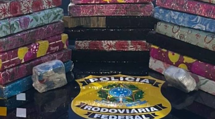 VIDEO Motorista é preso com quase 30 quilos de maconha na BR-101 em Barra Velha