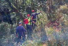 Idoso morre após sair para arrumar água e cair em ribanceira na Serra de SC