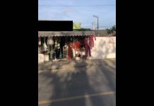 VIDEO Prefeitura de Penha ordena retirada de faixas que atrapalham a visão de motoristas no Santa Lídia