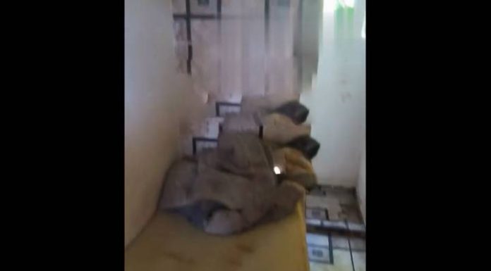 VIDEO Homem com problemas mentais era mantido em cela pela própria familia