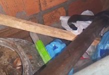 Homem mata esposa com golpes de machado na cabeça