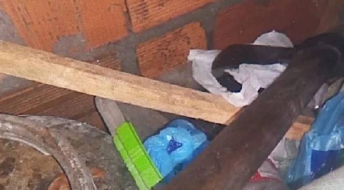 Homem mata esposa com golpes de machado na cabeça