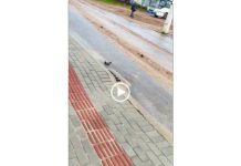 VIDEO Frota do transporte público ´emporcalha´ Rua das Begônias em Piçarras e moradores reclamam