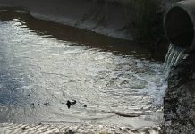 Santa Catarina registra mais de 12 mil internações no SUS, em 2024, devido à falta de saneamento básico